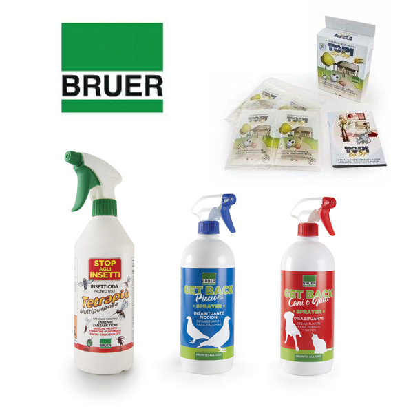 bruer-news