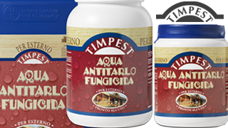 Timpest Aqua Antitarlo e Funghicida protegge il tuo legno